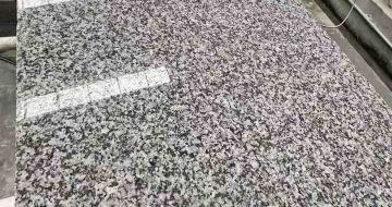 鹤壁 芙蓉白光面