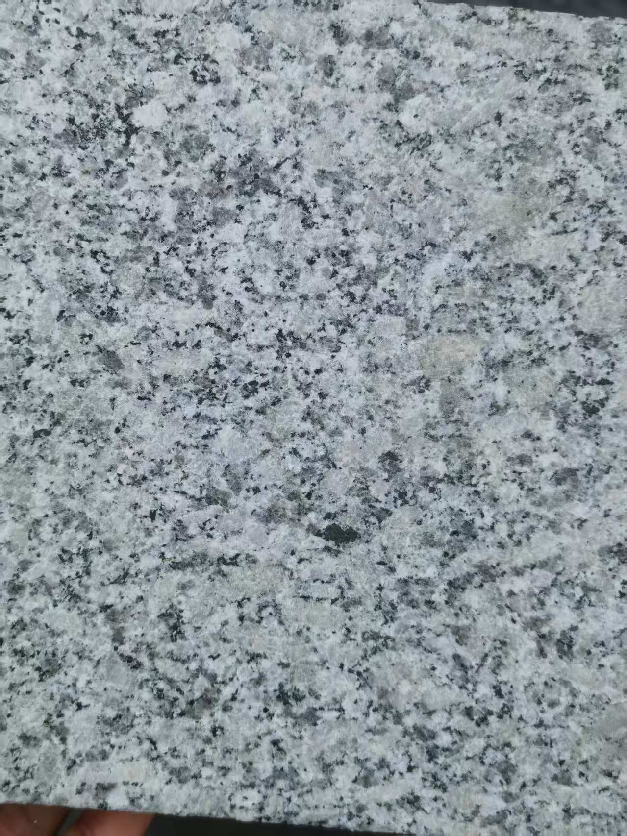 鹤壁 芙蓉白火烧面