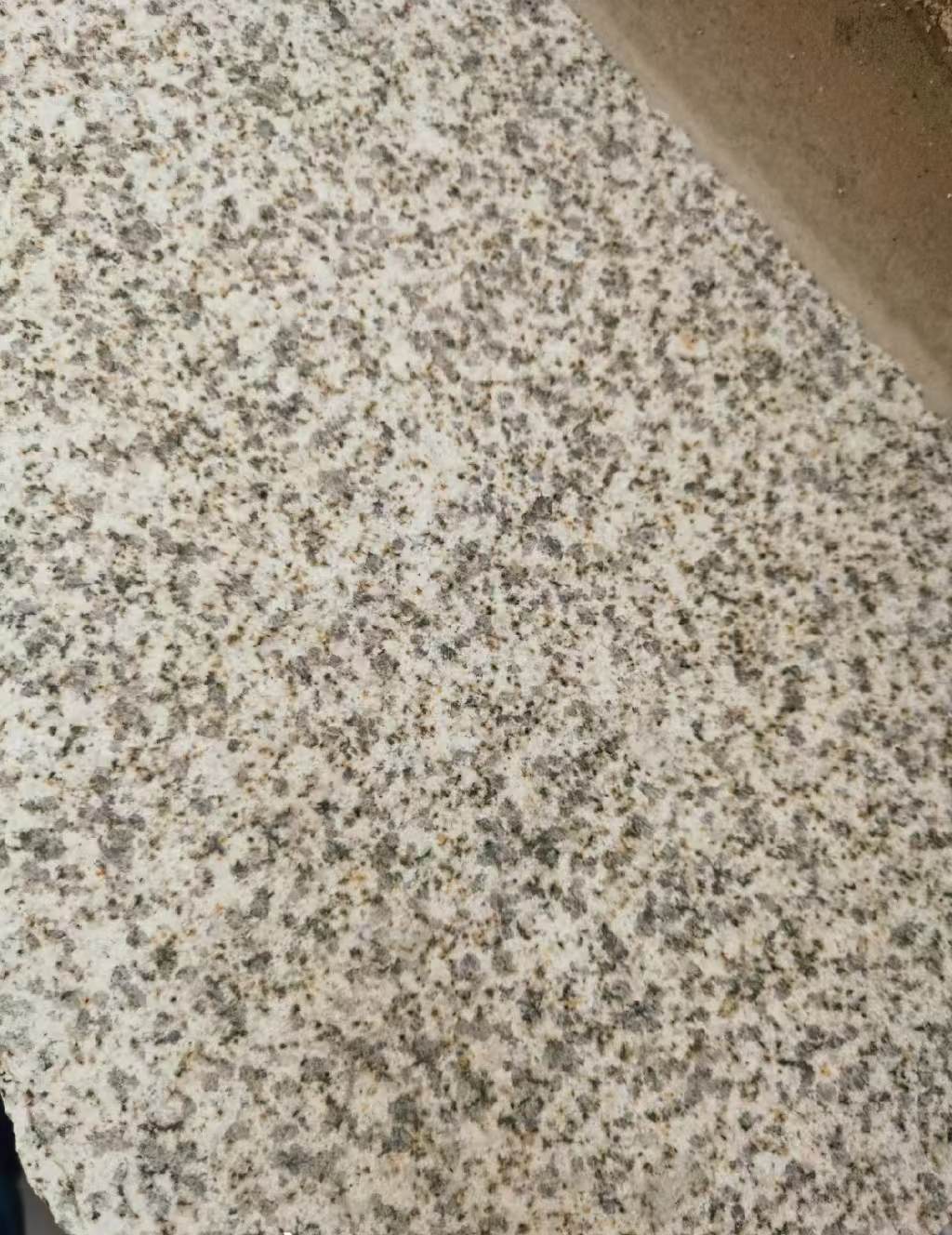 鹤壁 黄金麻中黄光面