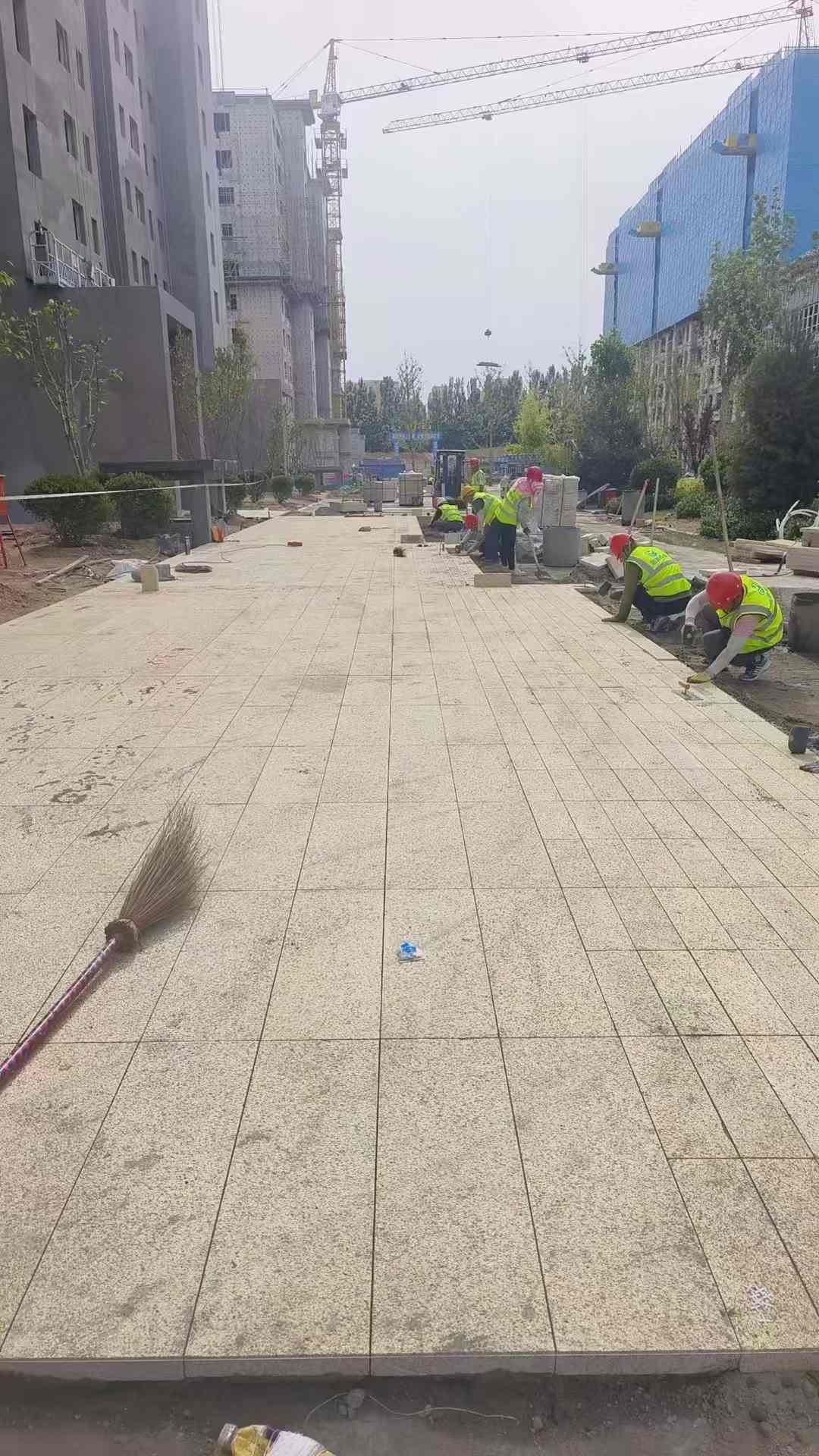 鹤壁黄金麻荔枝面地铺案例